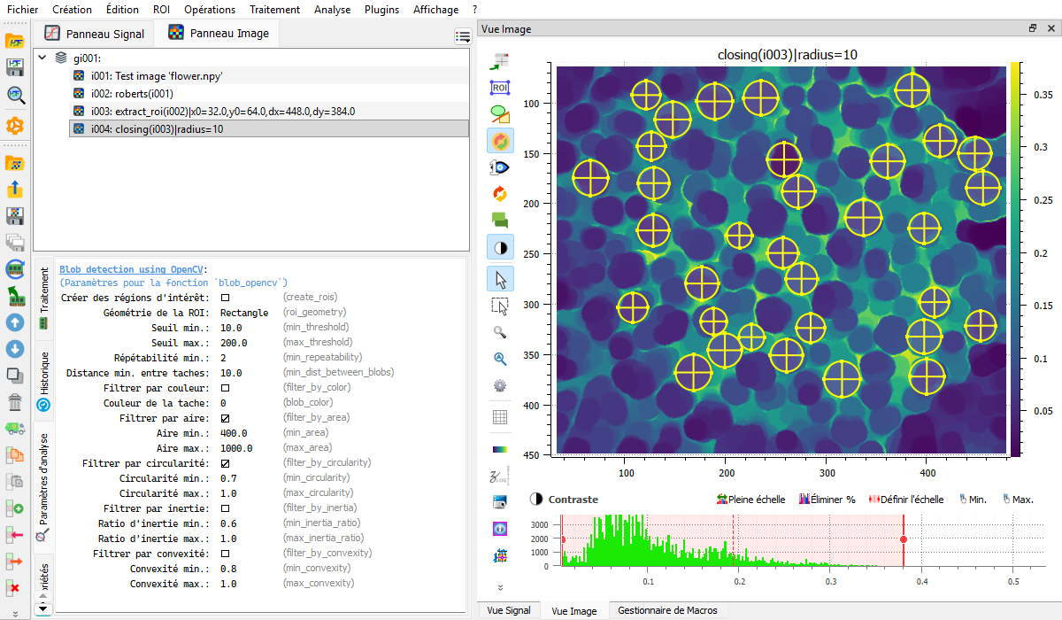 ../_images/i_blob_detection_flower.fr.png